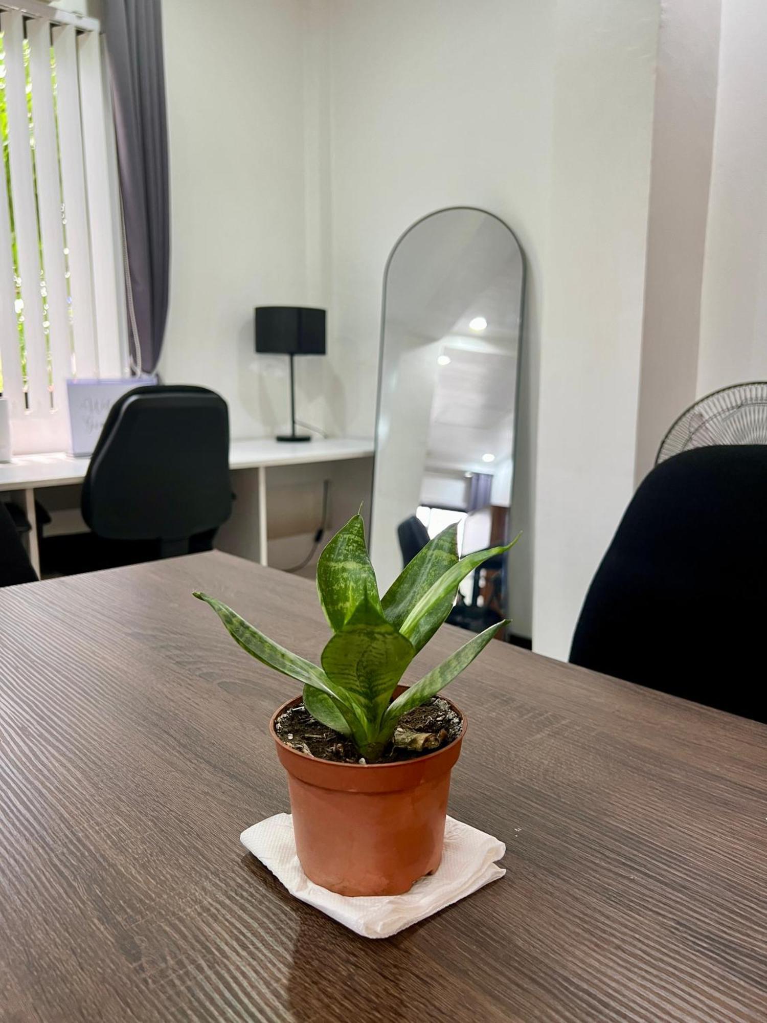 Gia'S Place San Mateo Εξωτερικό φωτογραφία
